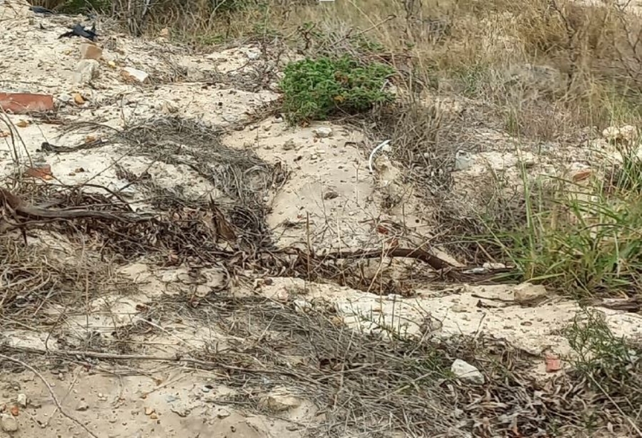 0 Bedroom Property for Sale in Albertinia Western Cape